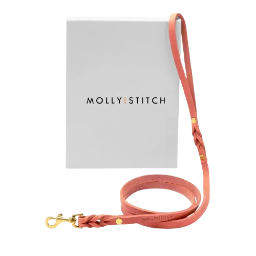 Sellerie Teckel Laisse Cuir Butter Rose
