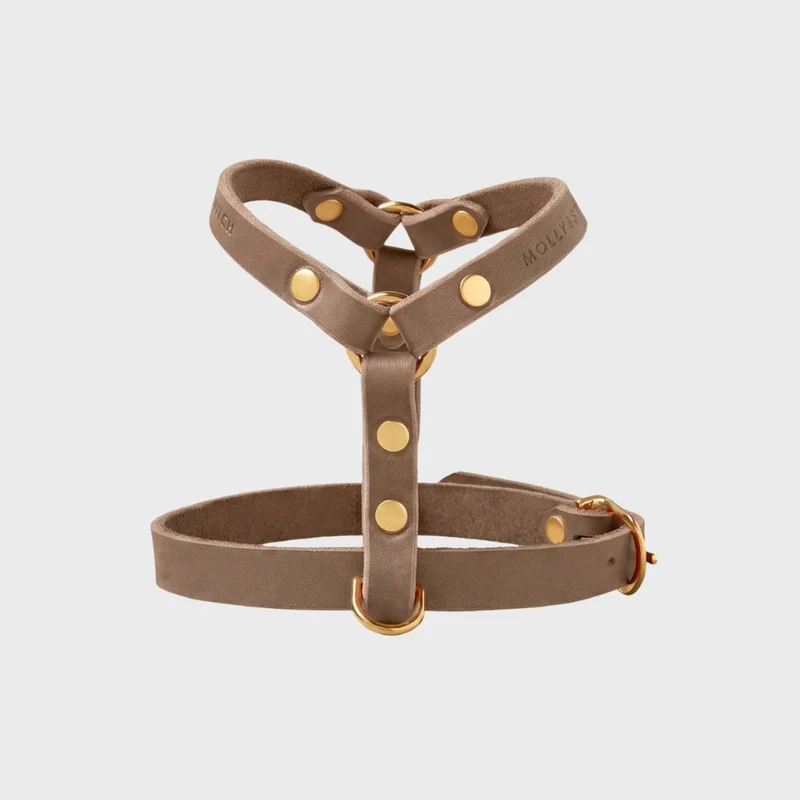 Sellerie Teckel Harnais en Y Cuir Butter Taupe