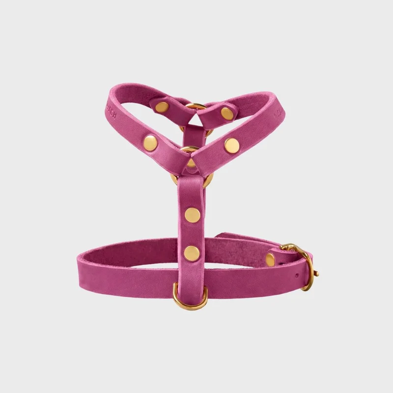 Sellerie Teckel Harnais en Y Cuir Butter Flamingo