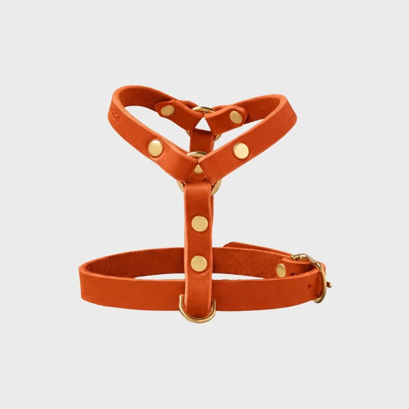 Sellerie Teckel Harnais en Y Cuir Butter Mangue