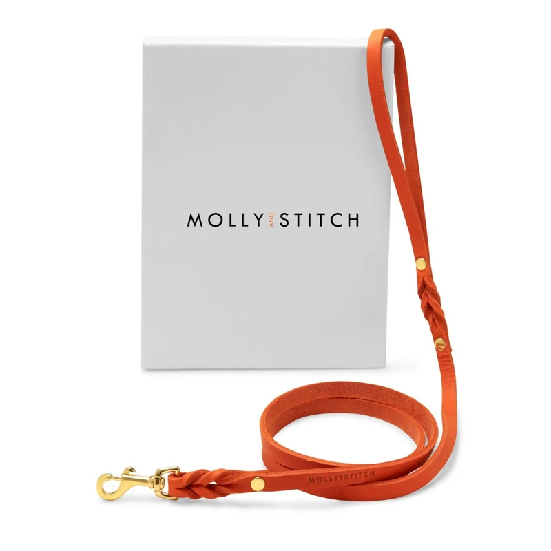 Sellerie Teckel Laisse Cuir Butter Mangue