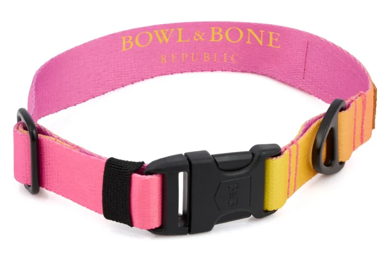 Sellerie Teckel Collier Gradient Rose & Jaune