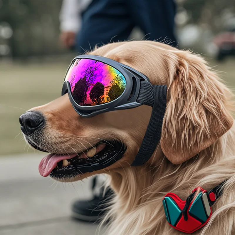 Lunettes pour chien – Protection UV, Vent et Poussière, Accessoire Mode et Sécurité