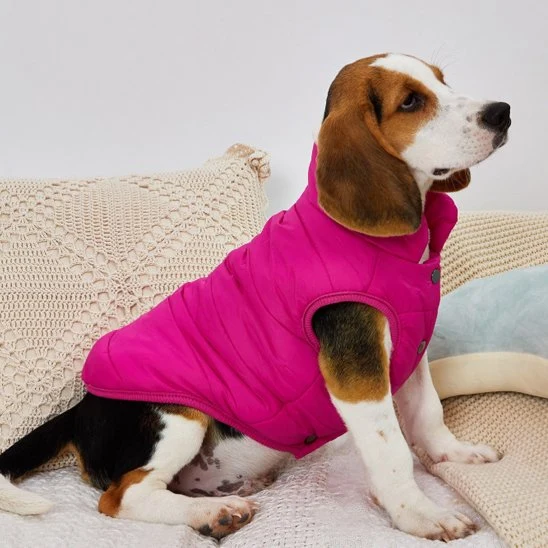 Manteau pour chien | Imperméable et Chaud