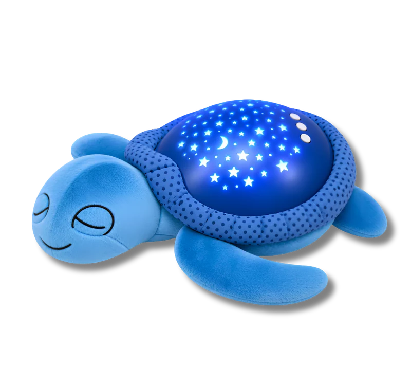 VEILLEUSE TORTUE