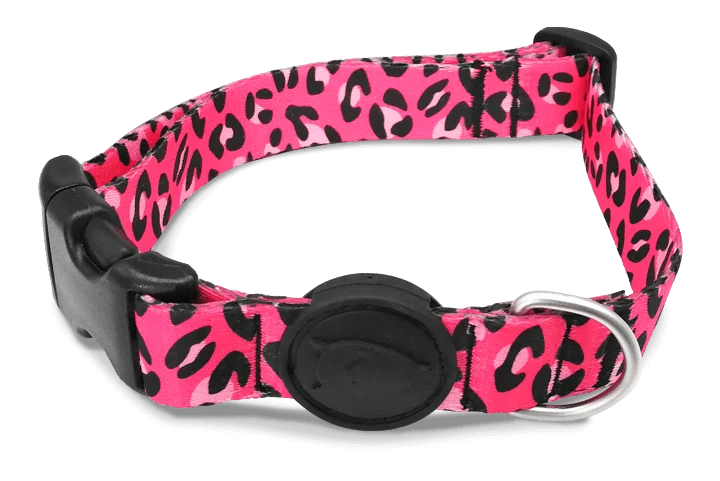 Collier pour chien Bubble Leo