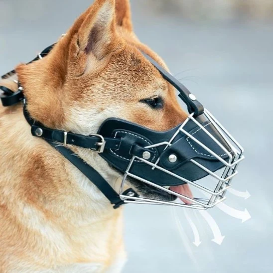 Muselière pour chien | Confort et Sécurité