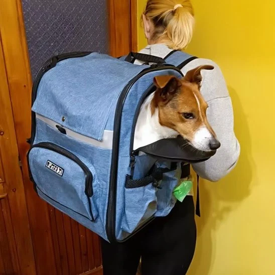 Sac de transport pour chien | Confort et Sécurité