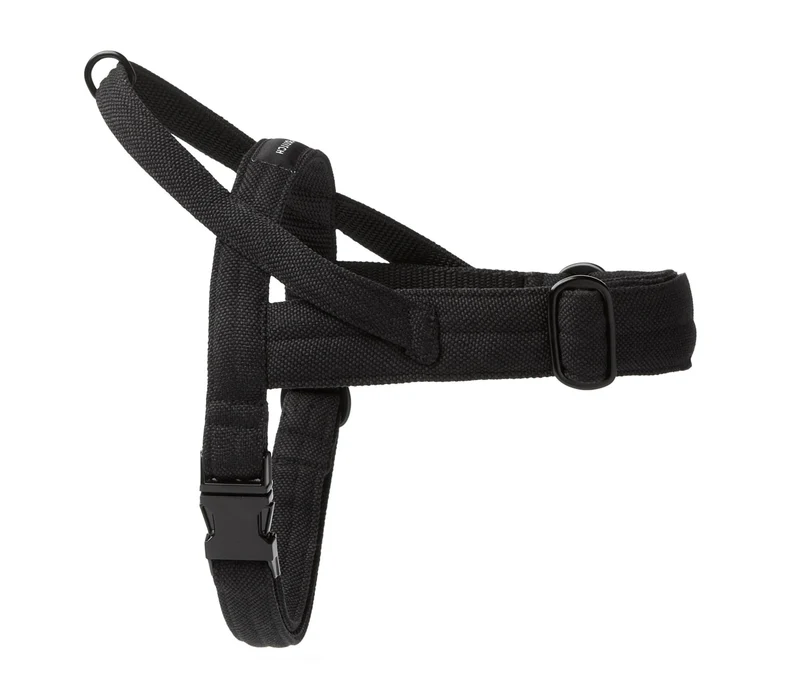 Sellerie Teckel Harnais Soft Rock Noir