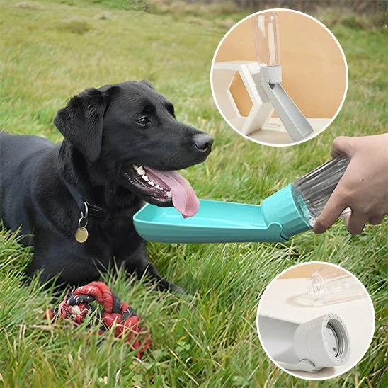 Gourde chien | Portable Étanche