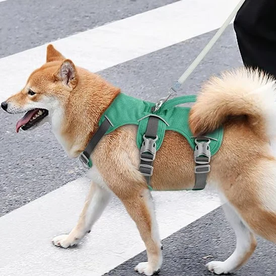 Harnais pour chien | Confort Anti-Traction