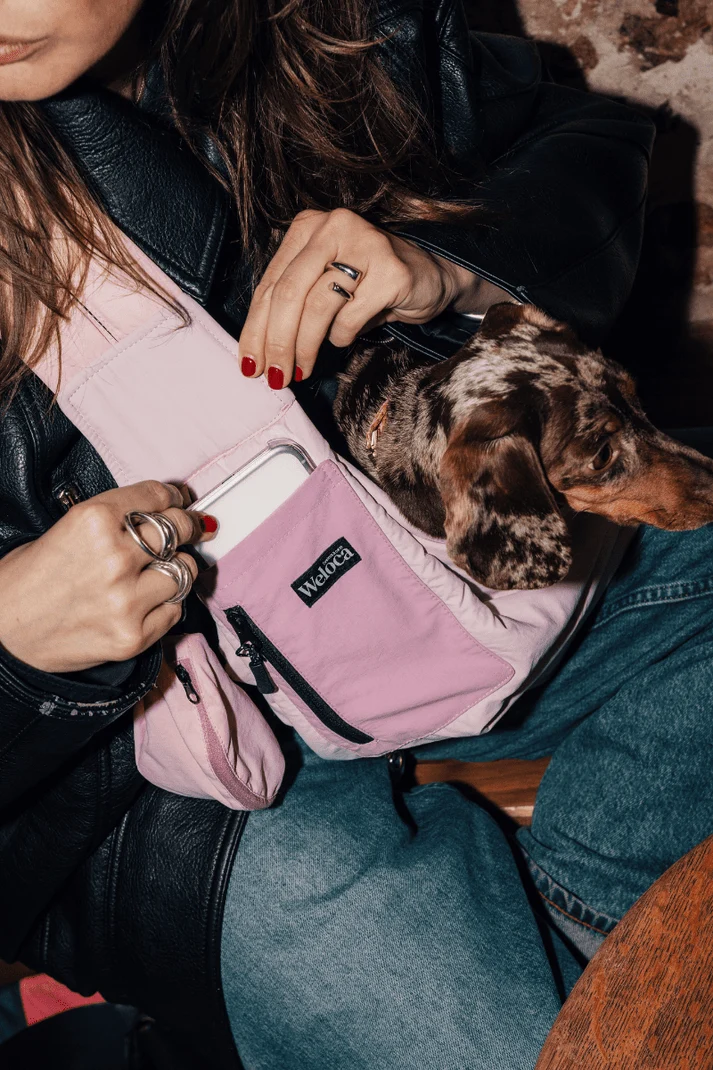 Sac de transport en bandoulière pour chien et chat – Weloca