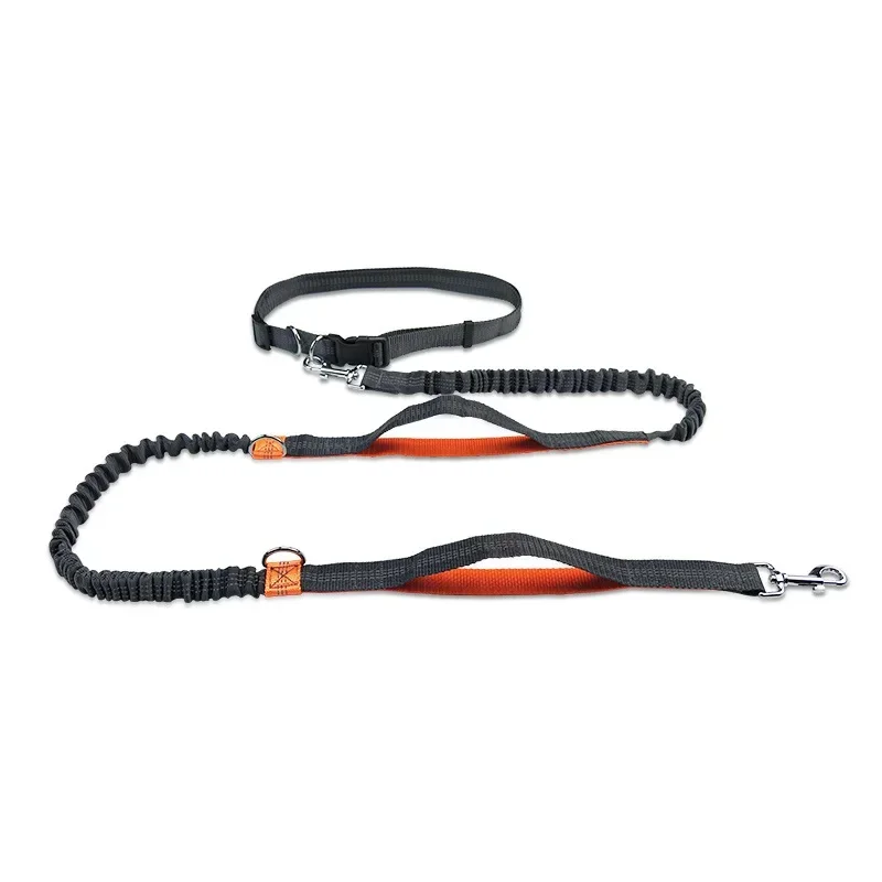 Laisse canicross – Laisse mains libres réglable et extensible