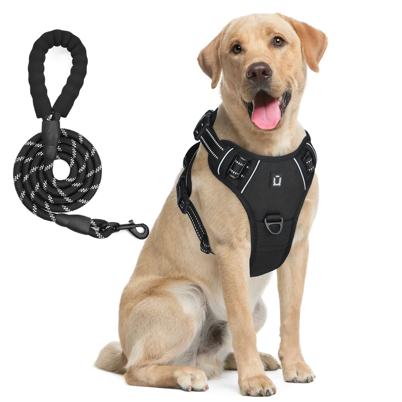 Harnais avec laisse pour chien – Anti-traction et ajustable