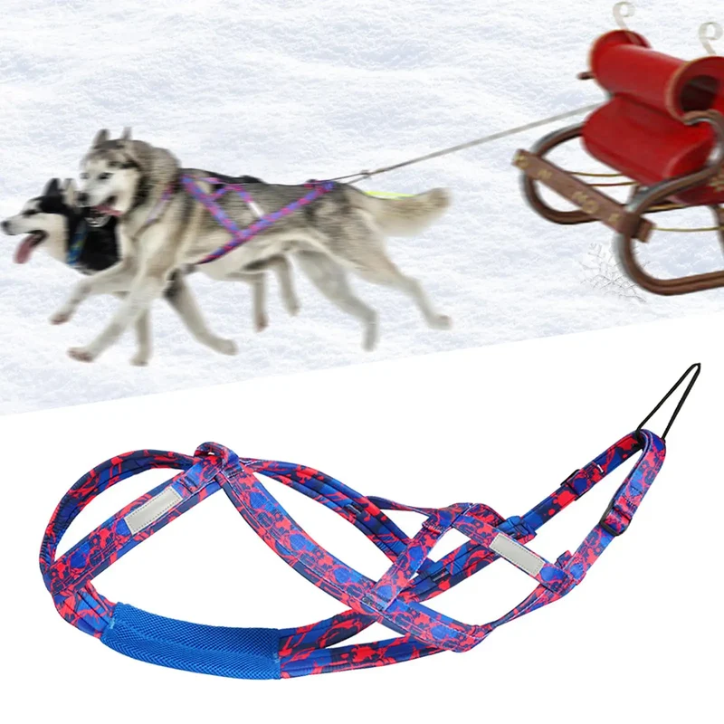 Harnais de traction pour chien – Sport, traîneau et vélo
