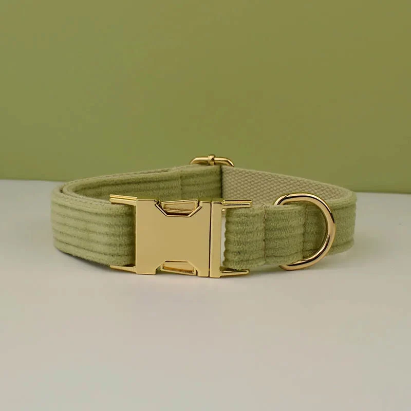 Collier velours doux pour chien personnalisé et élégant