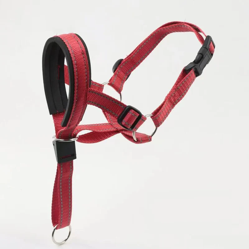 Muselière pour grand chien ajustable et respirante