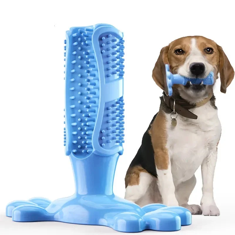 Jouet brosse à dents pour chien - Nettoyage et jeu en douceur