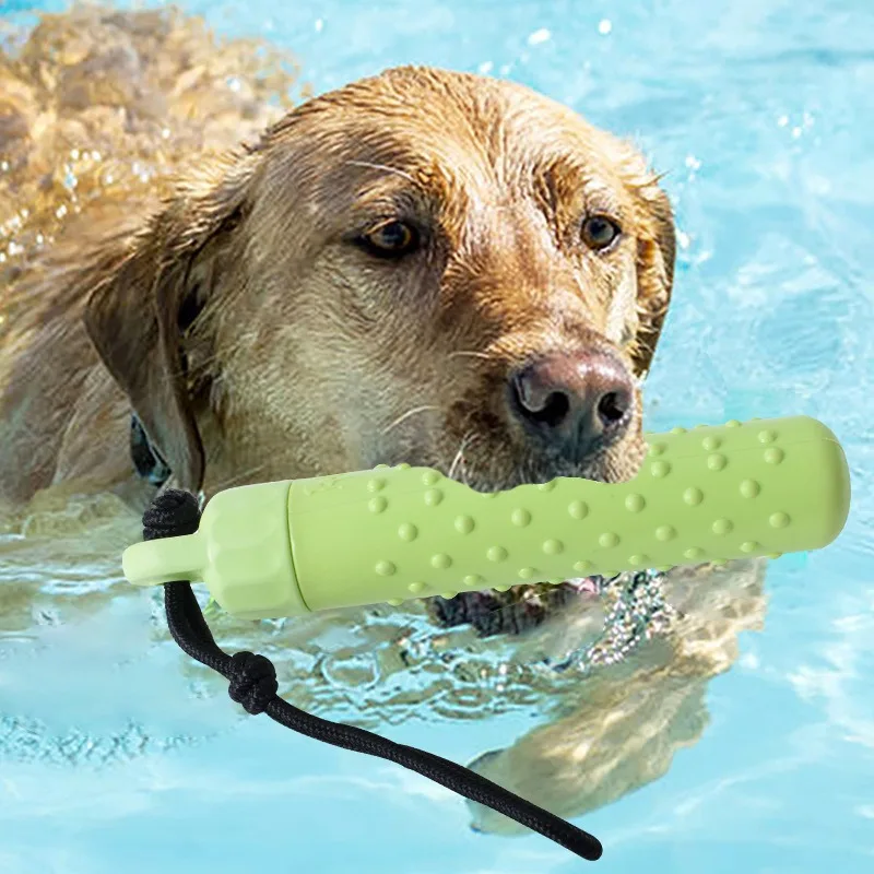 Jouet de lancer flottant pour chien - Ludique et résistant