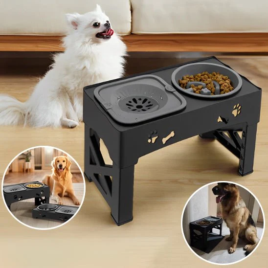 Gamelle Réglable pour chien – Double Bol + Antiglouton + Hauteur Ajustable