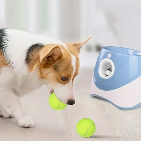 Lanceur de Balles Automatique pour Chien – Rechargeable, Intérieur/Extérieur