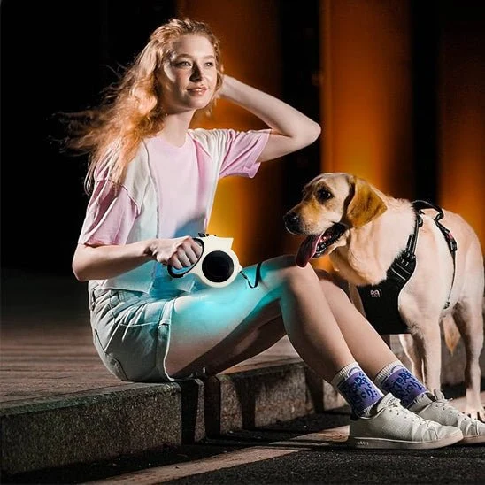 Laisse Rétractable pour Chien Lumineuse – 5 m, Promenade de Nuit