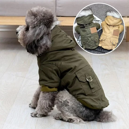 Manteau pour chien | Protection Hiver
