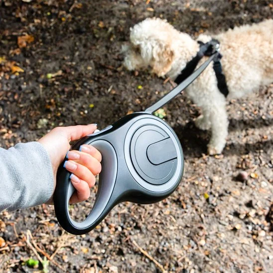 Laisse pour Chien | Ultra-Résistante