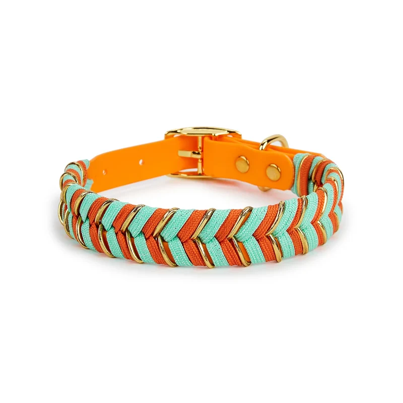 Collier coloré pour chien tressé à la main – Élégance, solidité et confort