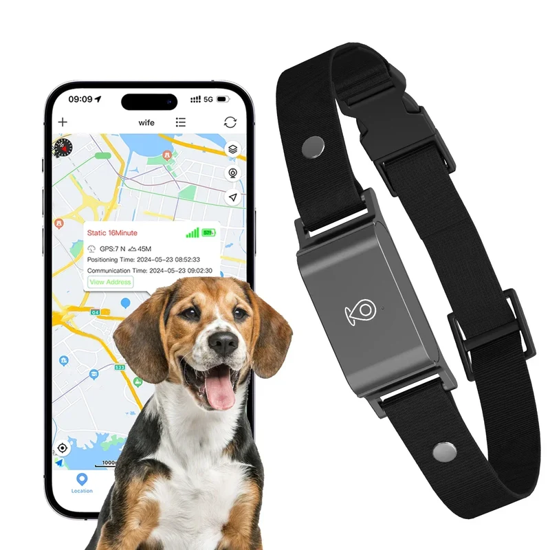 Collier GPS pour chien – Suivi en temps réel, waterproof & anti-perte