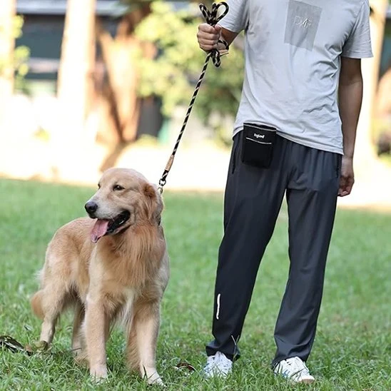 Laisse chien | Robuste et Confortable