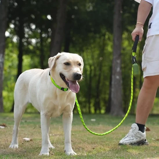 Laisse pour chien | Résistante et Confortable
