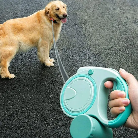 Laisse pour Chien | Robuste et Confortable