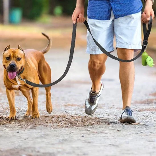 Laisse pour chien | Robuste et Confortable