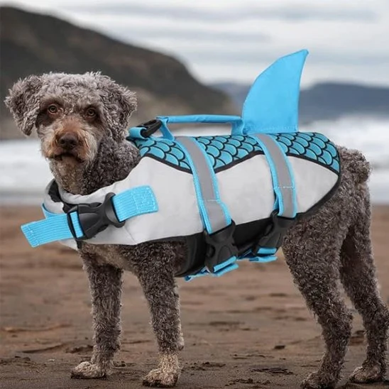 Gilet de sauvetage chien | Flottabilité optimale