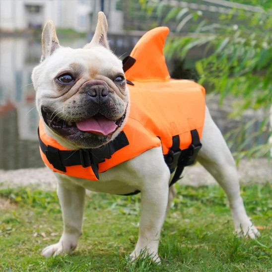 Gilet de sauvetage chien | Sécurité Aquatique