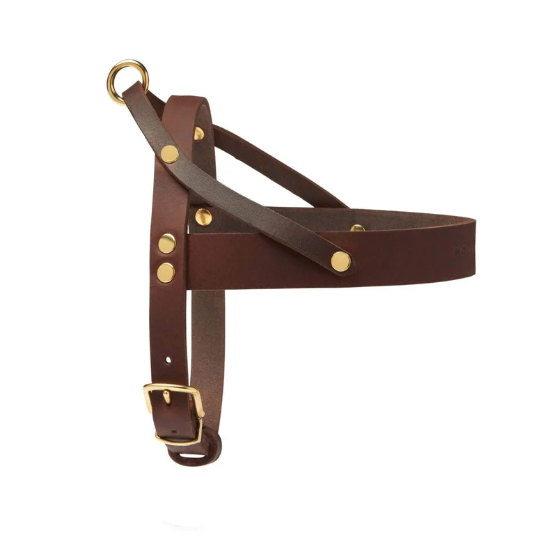 Sellerie Teckel Harnais en T Cuir Butter Marron