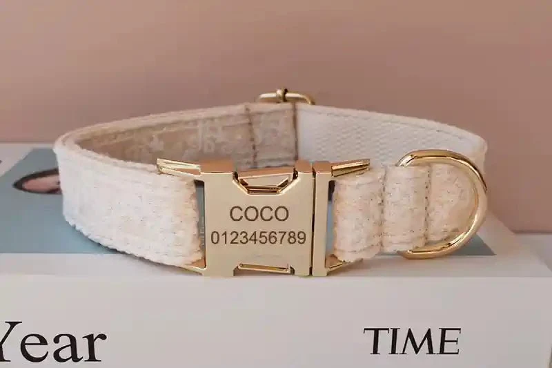 Collier pour Chien en Dentelle Crème – Gravure Prénom & Laisse Assortie