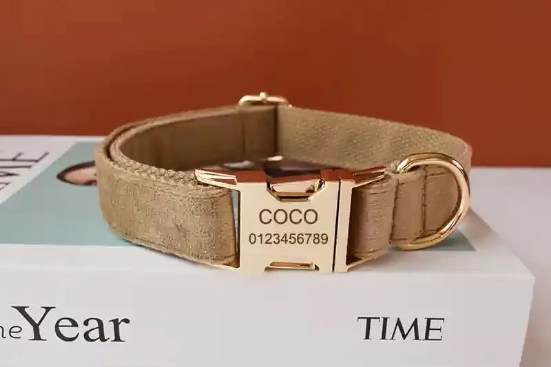 Collier pour Chien Doré en Flanelle – Gravure Personnalisée & Laisse Assortie