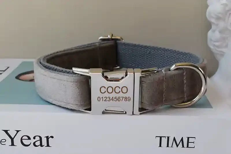Collier personnalisé pour Chien Gris Clair en Flanelle – Gravure & Laisse