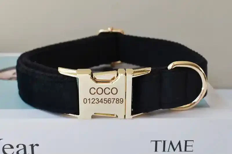 Collier Personnalisé pour Chien – Flanelle Noire, Gravure & Laisse Assortie