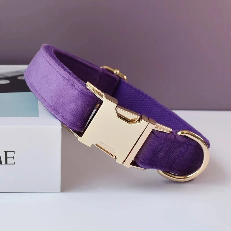 Collier Violet pour Chien – Gravure Personnalisée, Laisse & Nœud Papillon