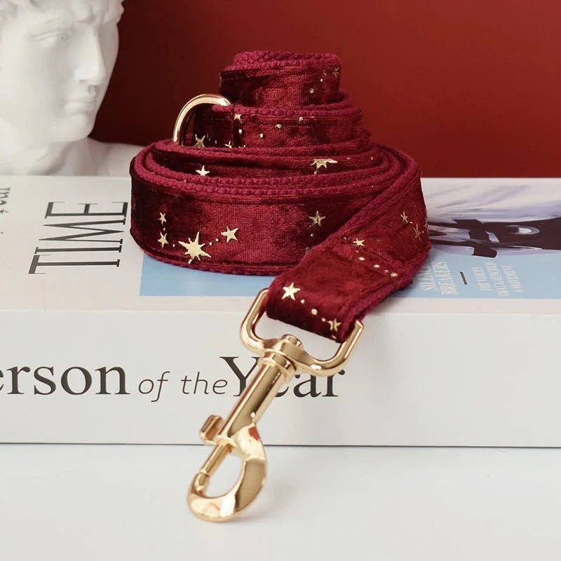 Collier Velours Rouge pour Chien – Gravure Personnalisée, Laisse & Nœud Papillon Étoilé