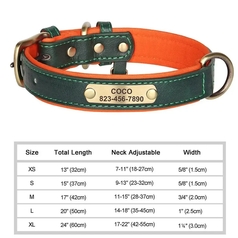 Collier pour Chien Prénom Personnalisé. Pour Petit et Moyen Chien - Gravure sur plaque incluse