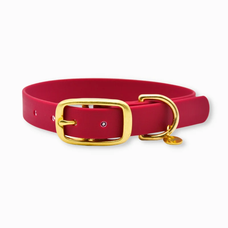 Collier pour chien en Biothane L'aventurier