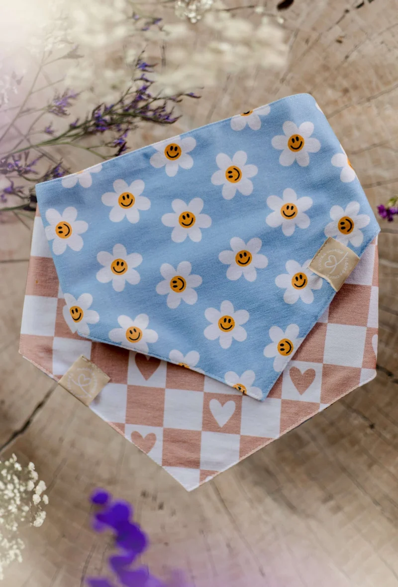Bandanas pour chien colorés