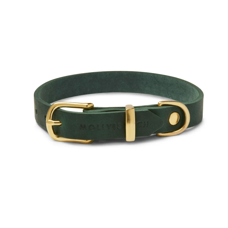Sellerie Teckel Collier Cuir Butter Vert Foret