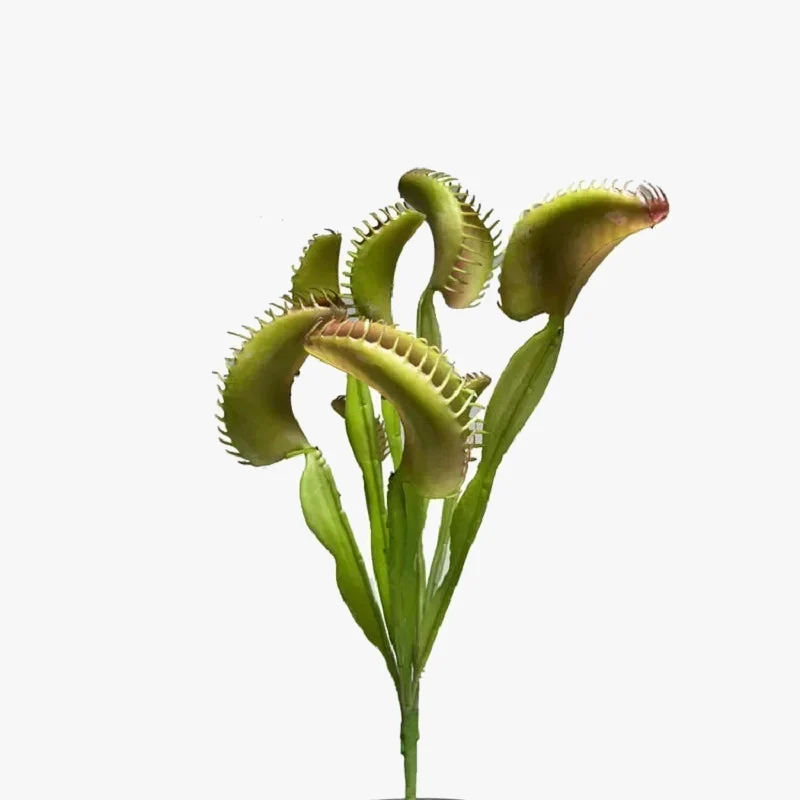 plante artificielle attrape-mouches décoration tropicale pour bureau