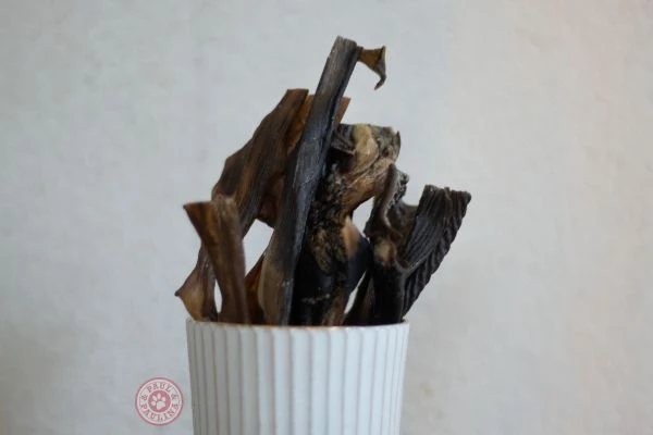 Mastication pour Chiens à la Peau de Chèvre
