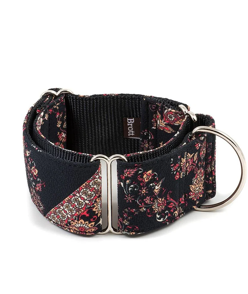 Collier pour chien Mieres